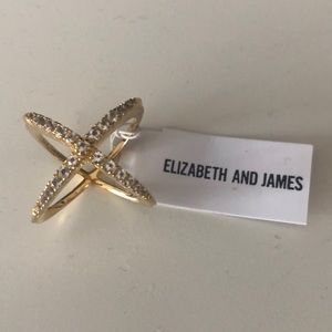 Elizabeth and James Windrose Pave White Topaz Ring